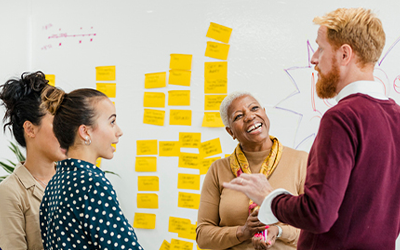 Bespoke training and development
