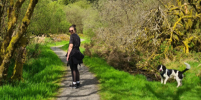 Powys case study