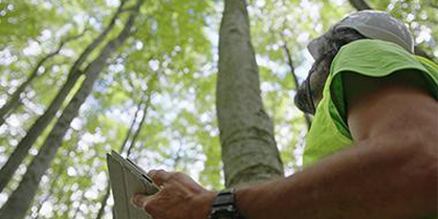 Intrapreneurial thinking for sustainability