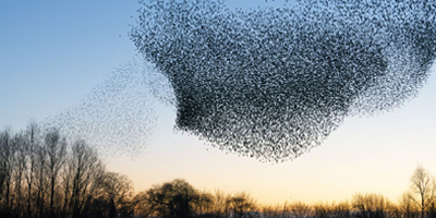 Climate change course