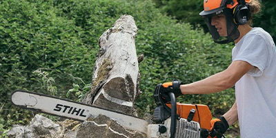 Arab Open University case study.